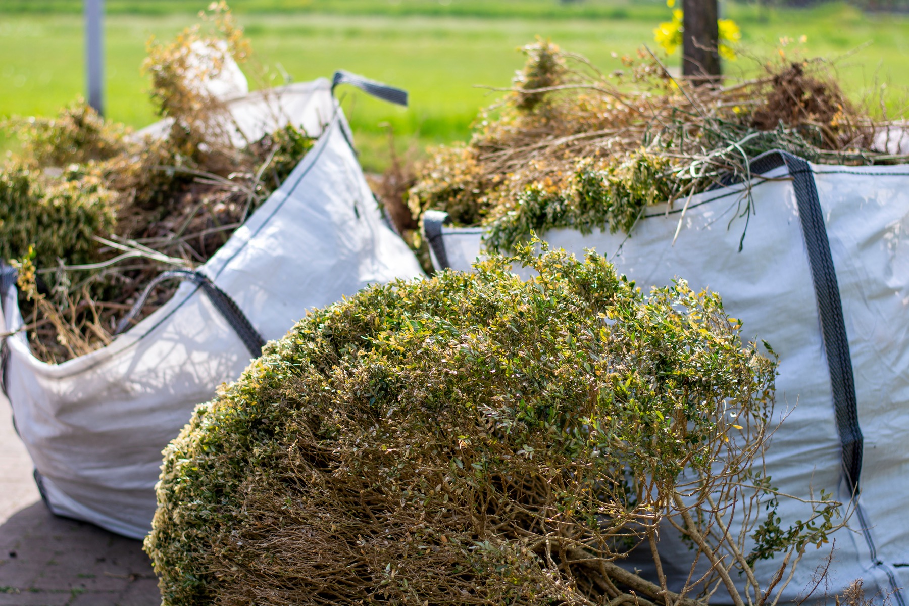 garden waste collection