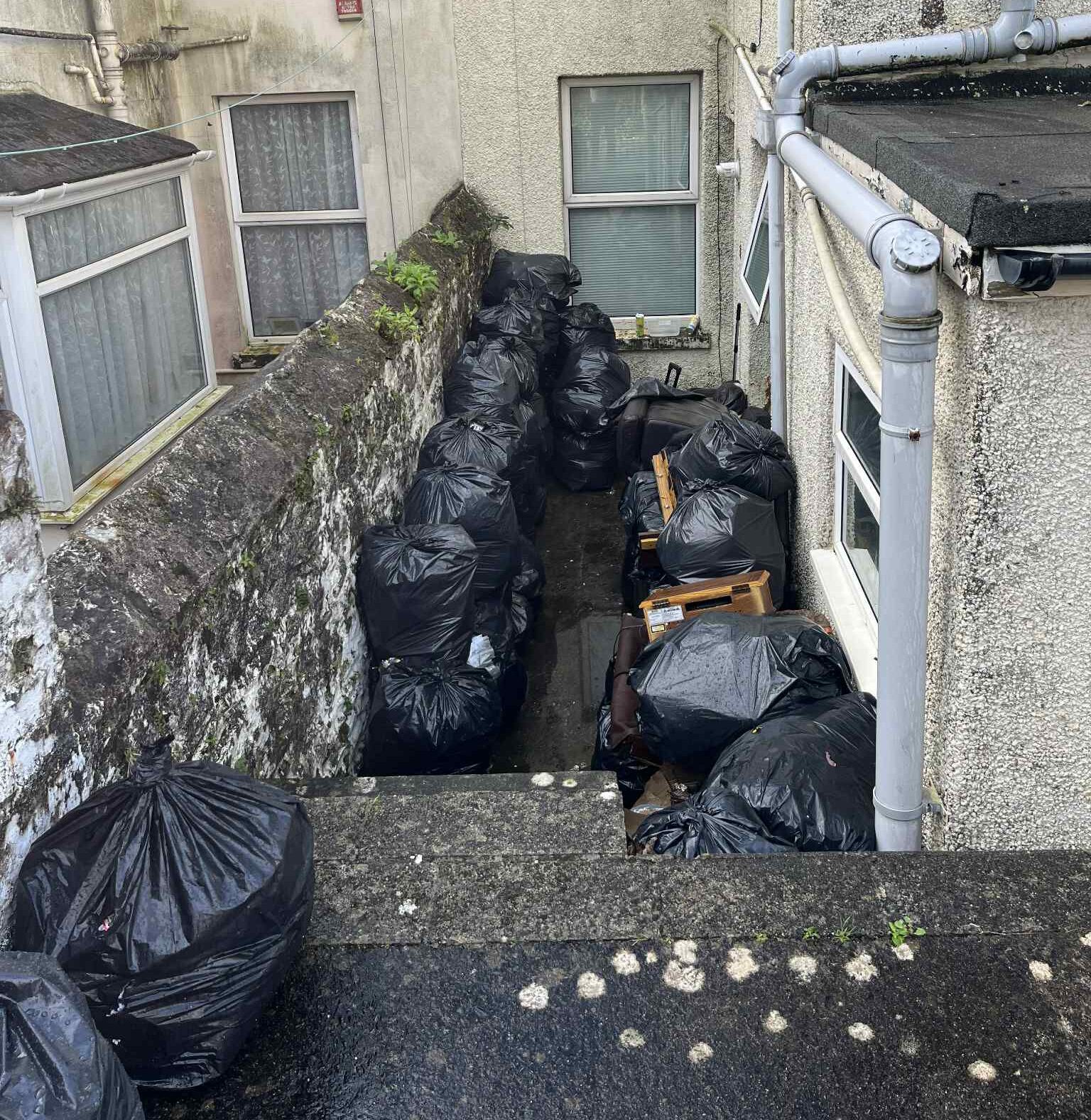 garden waste removal near me